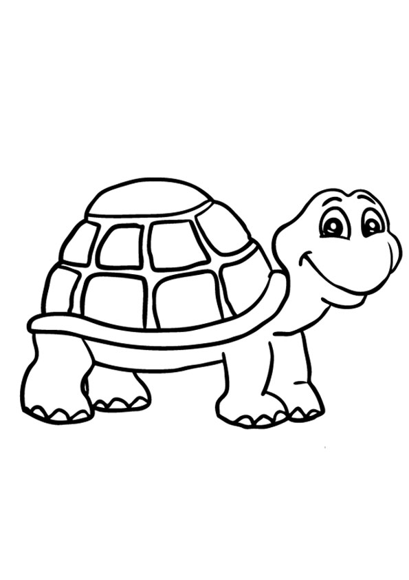 55 Free Printable Coloring Pages Of Turtles 10