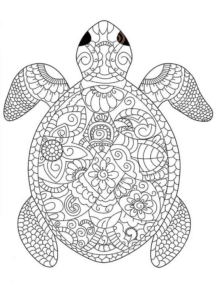 55 Free Printable Coloring Pages Of Turtles 14