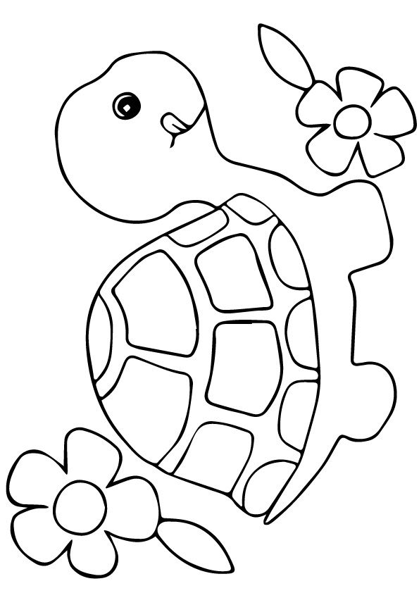 55 Free Printable Coloring Pages Of Turtles 19