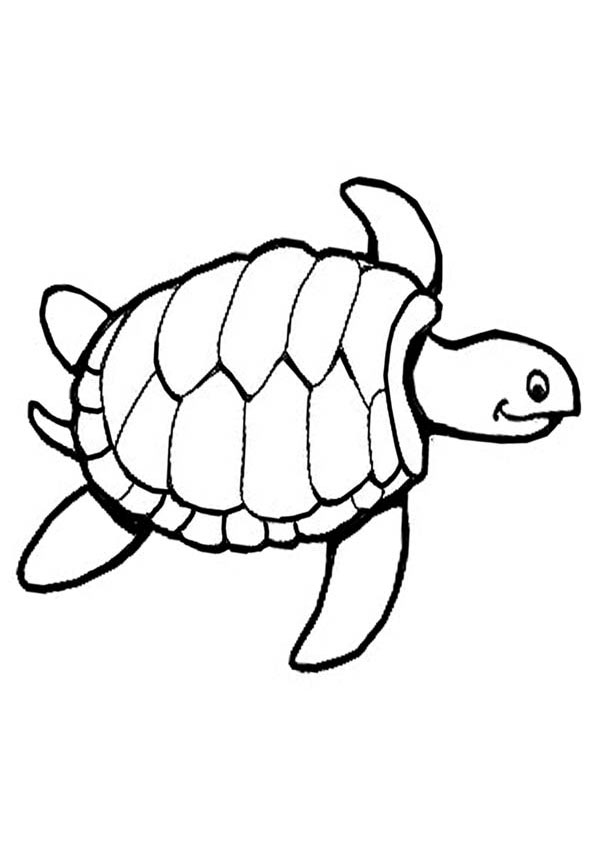 55 Free Printable Coloring Pages Of Turtles 20