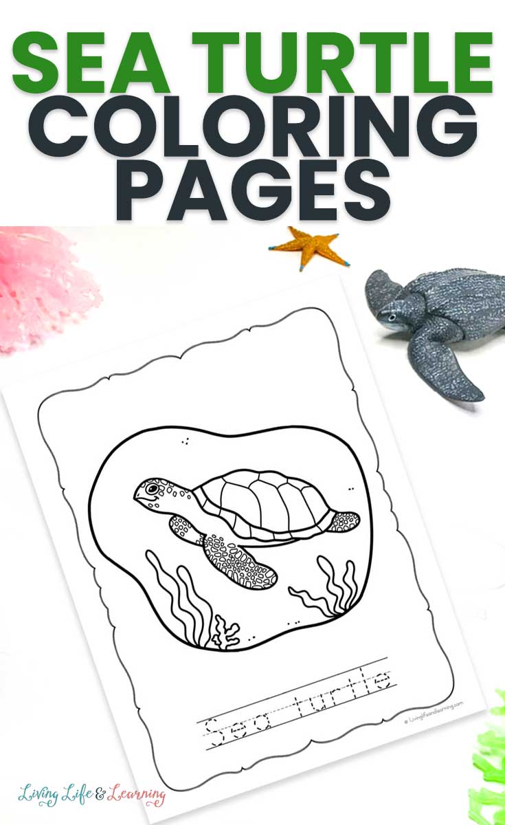 55 Free Printable Coloring Pages Of Turtles 21