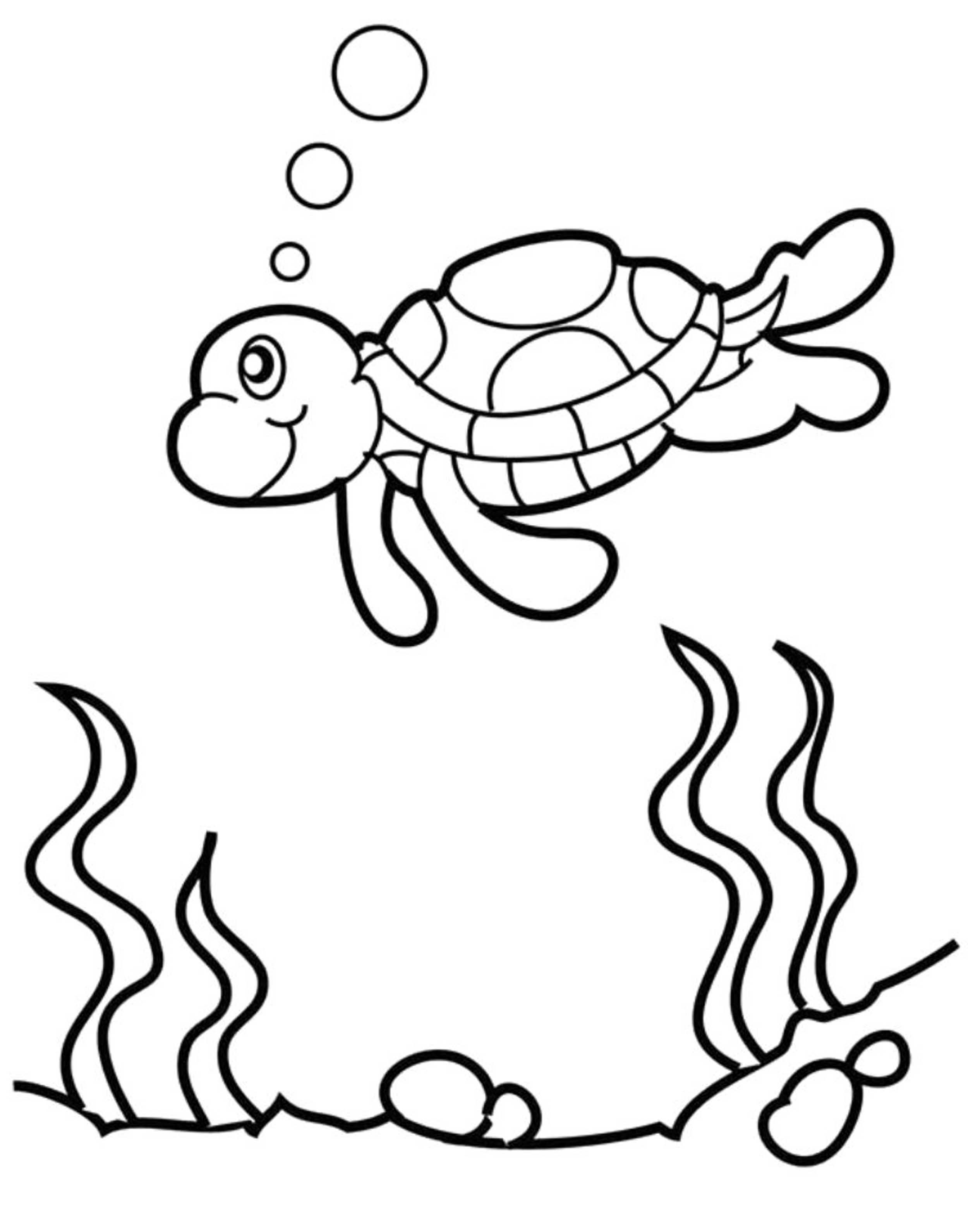 55 Free Printable Coloring Pages Of Turtles 24