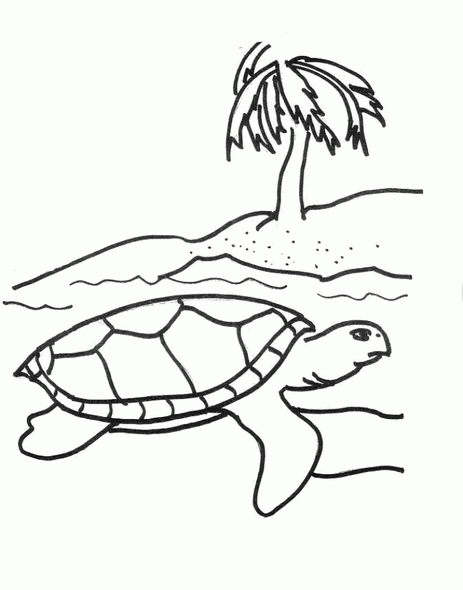 55 Free Printable Coloring Pages Of Turtles 3