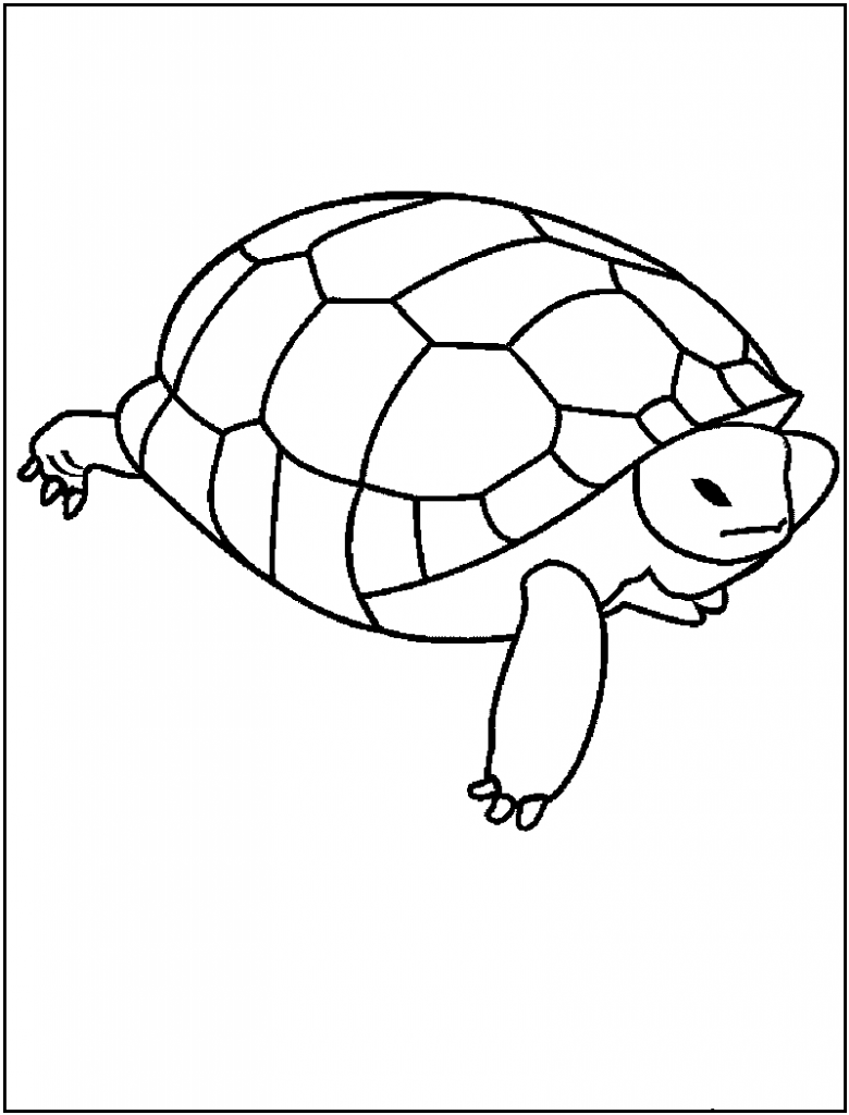 55 Free Printable Coloring Pages Of Turtles 30