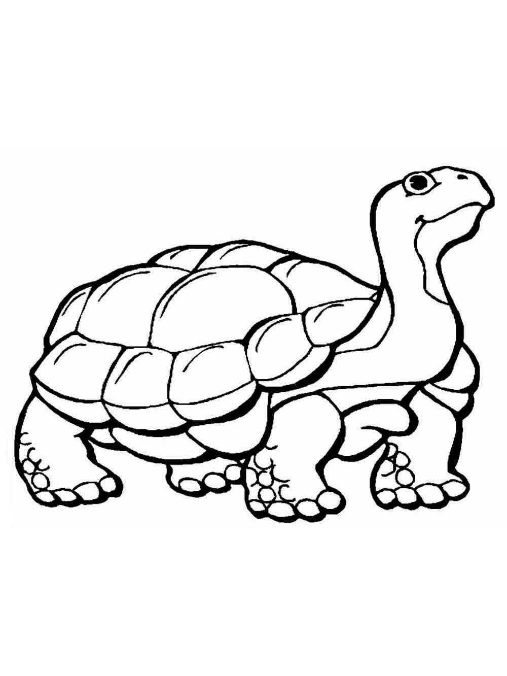 55 Free Printable Coloring Pages Of Turtles 32