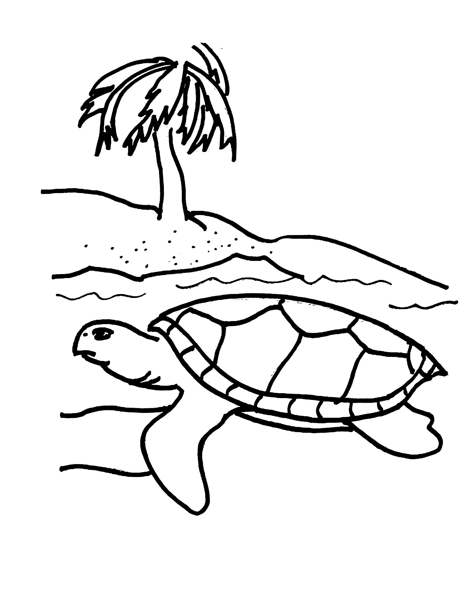 55 Free Printable Coloring Pages Of Turtles 40