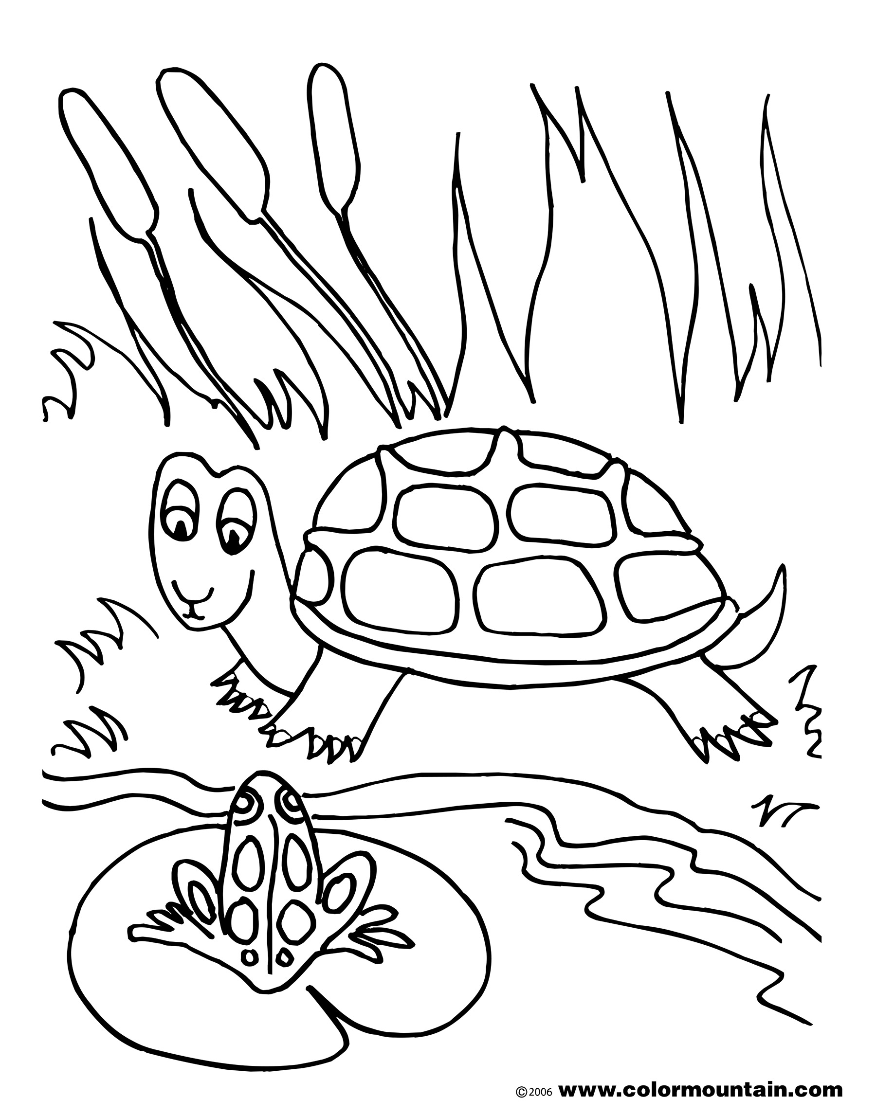 55 Free Printable Coloring Pages Of Turtles 42