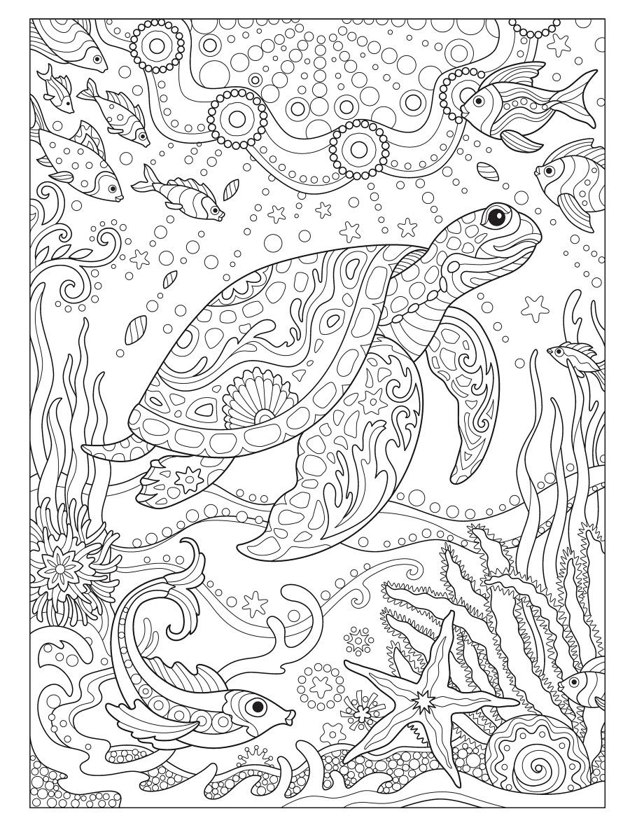 55 Free Printable Coloring Pages Of Turtles 43