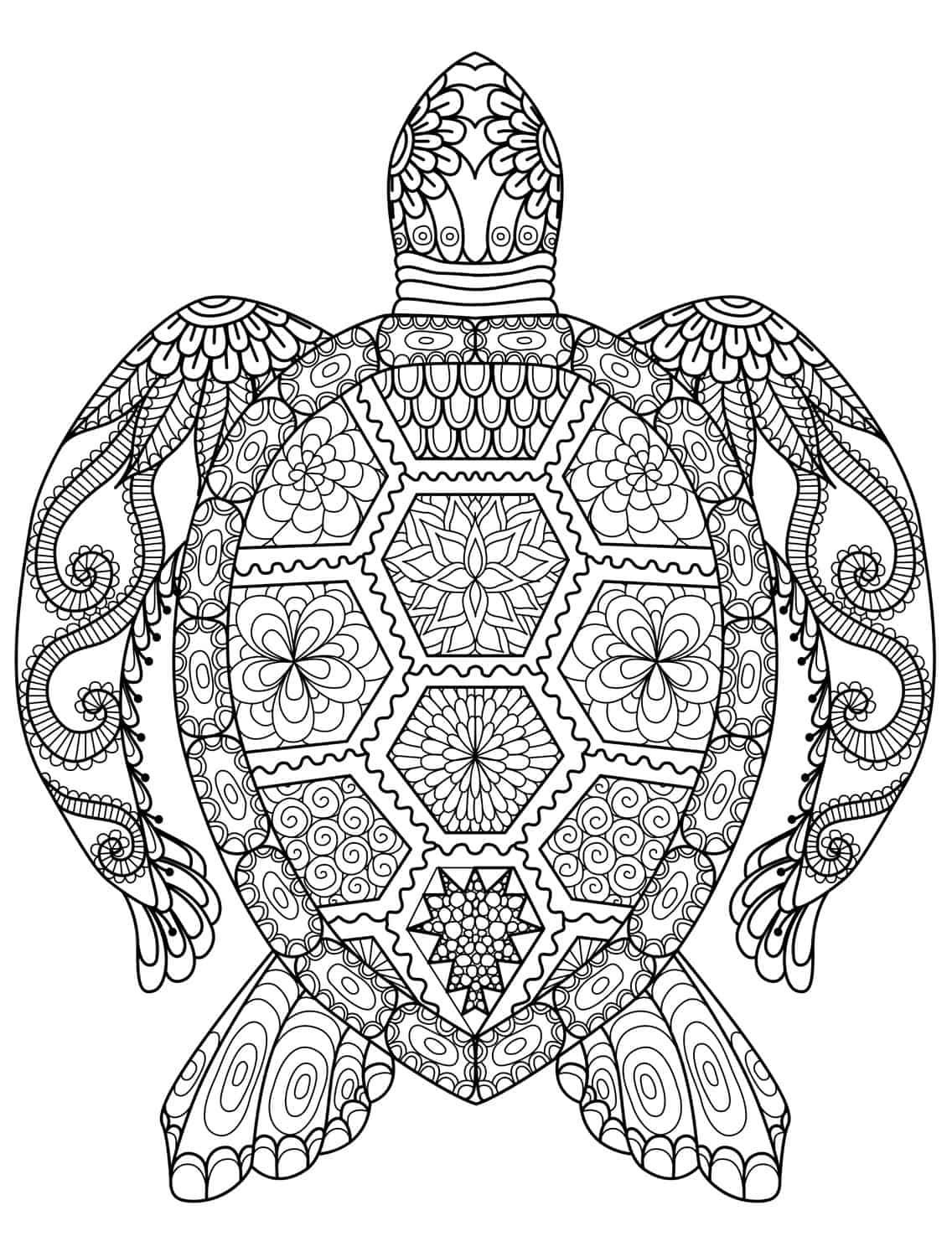 55 Free Printable Coloring Pages Of Turtles 48