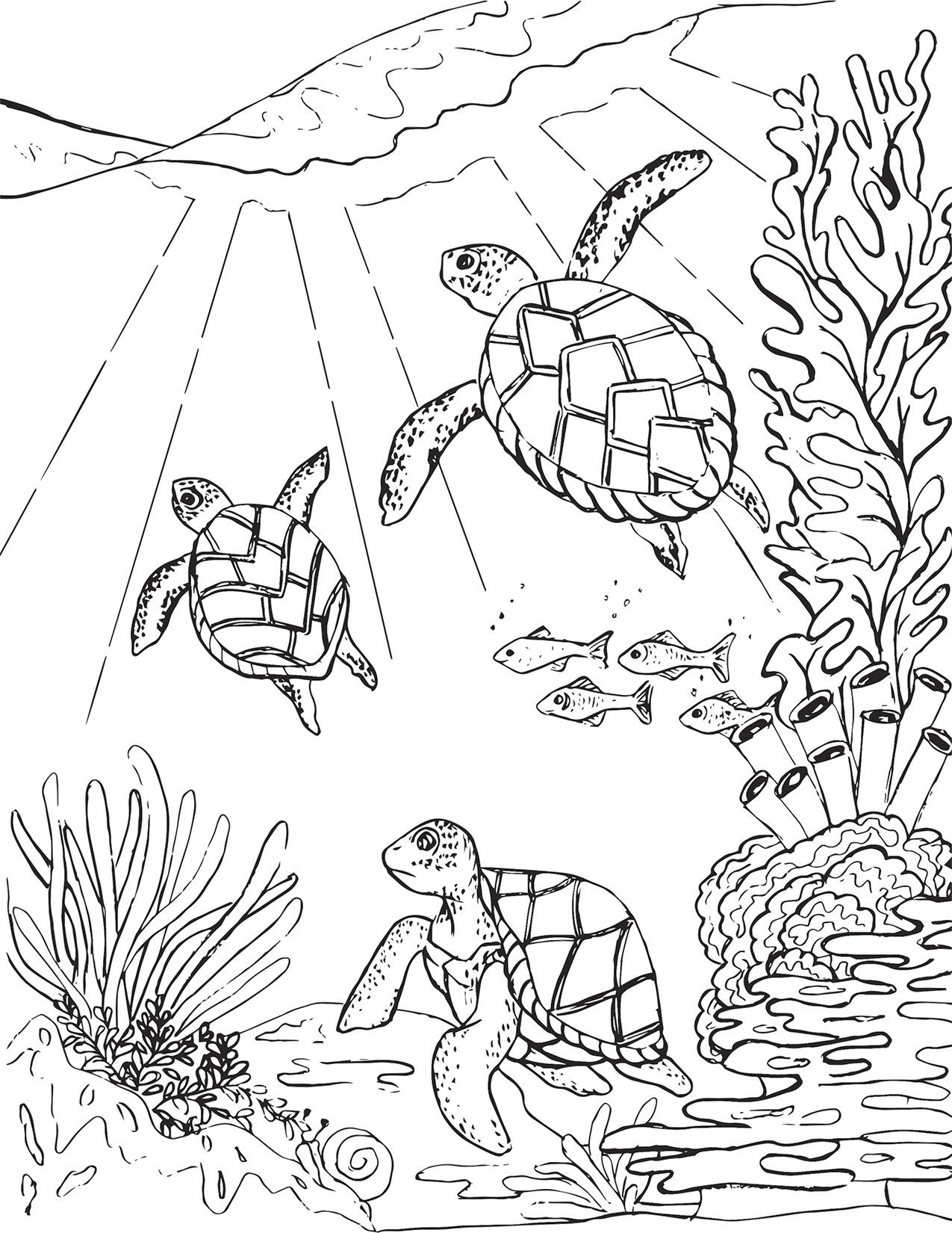 55 Free Printable Coloring Pages Of Turtles 5