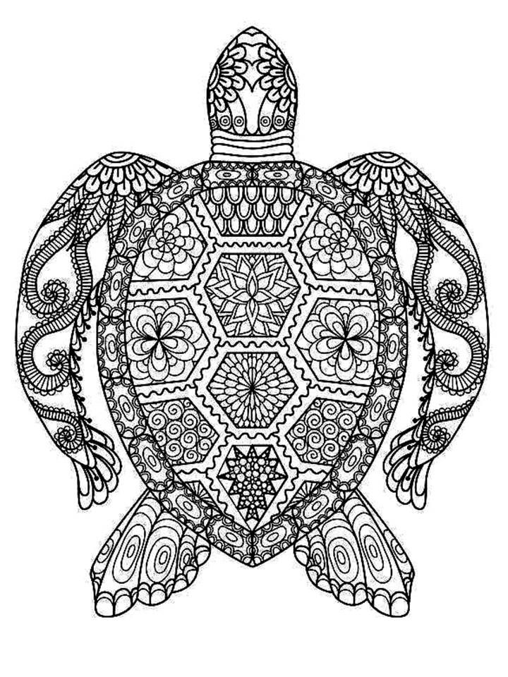 55 Free Printable Coloring Pages Of Turtles 6