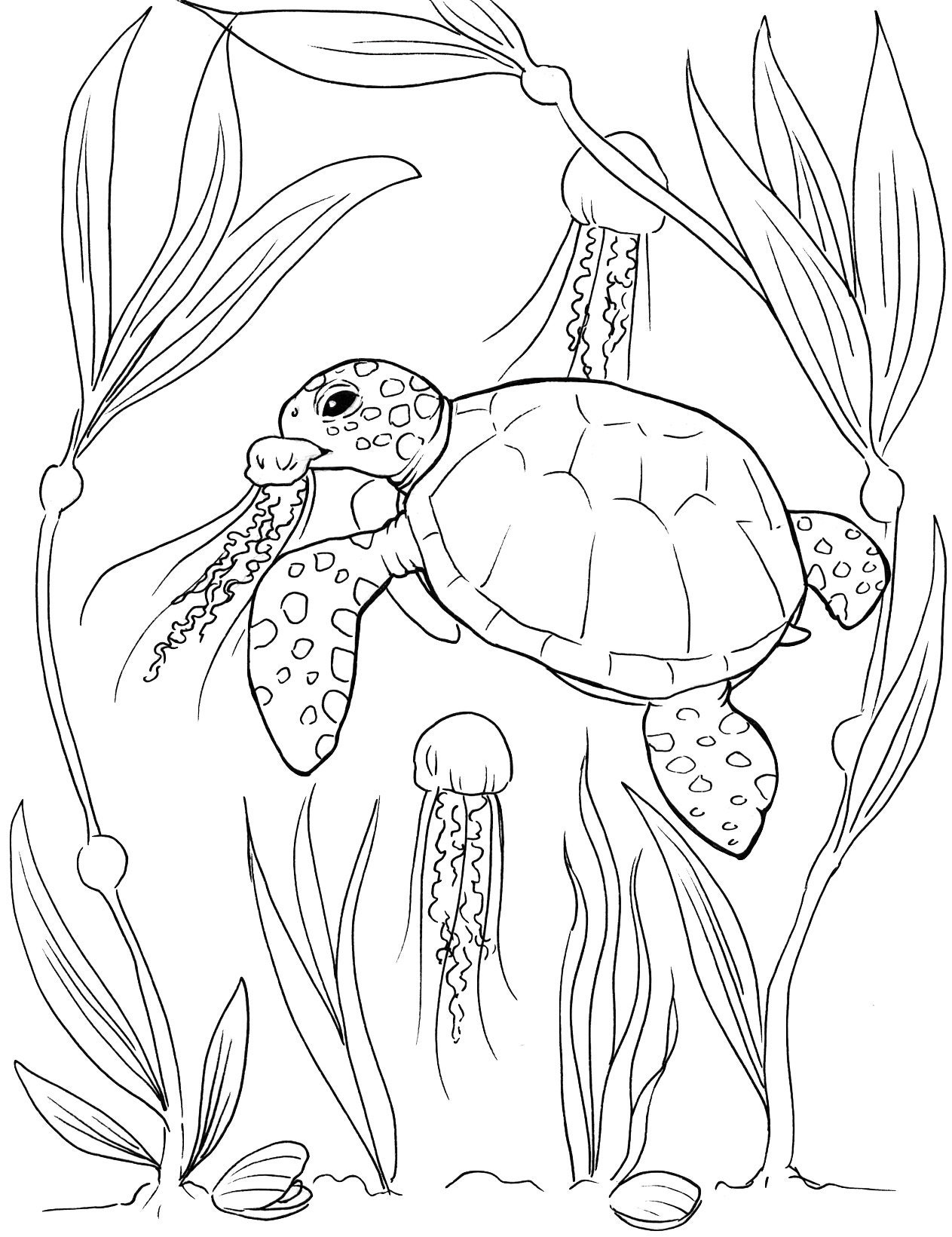 55 Free Printable Coloring Pages Of Turtles 63