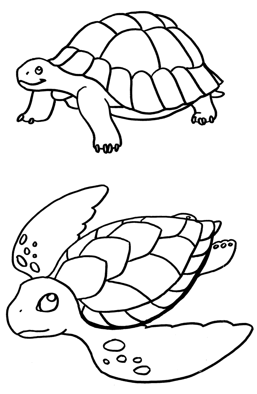 55 Free Printable Coloring Pages Of Turtles 68