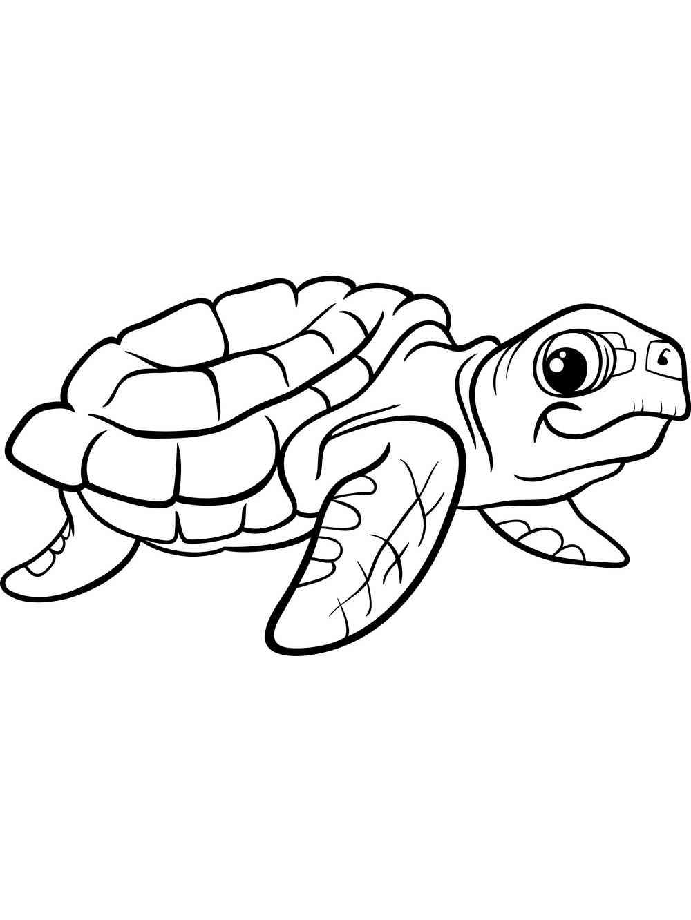 55 Free Printable Coloring Pages Of Turtles 72