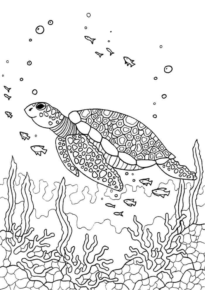 55 Free Printable Coloring Pages Of Turtles 79