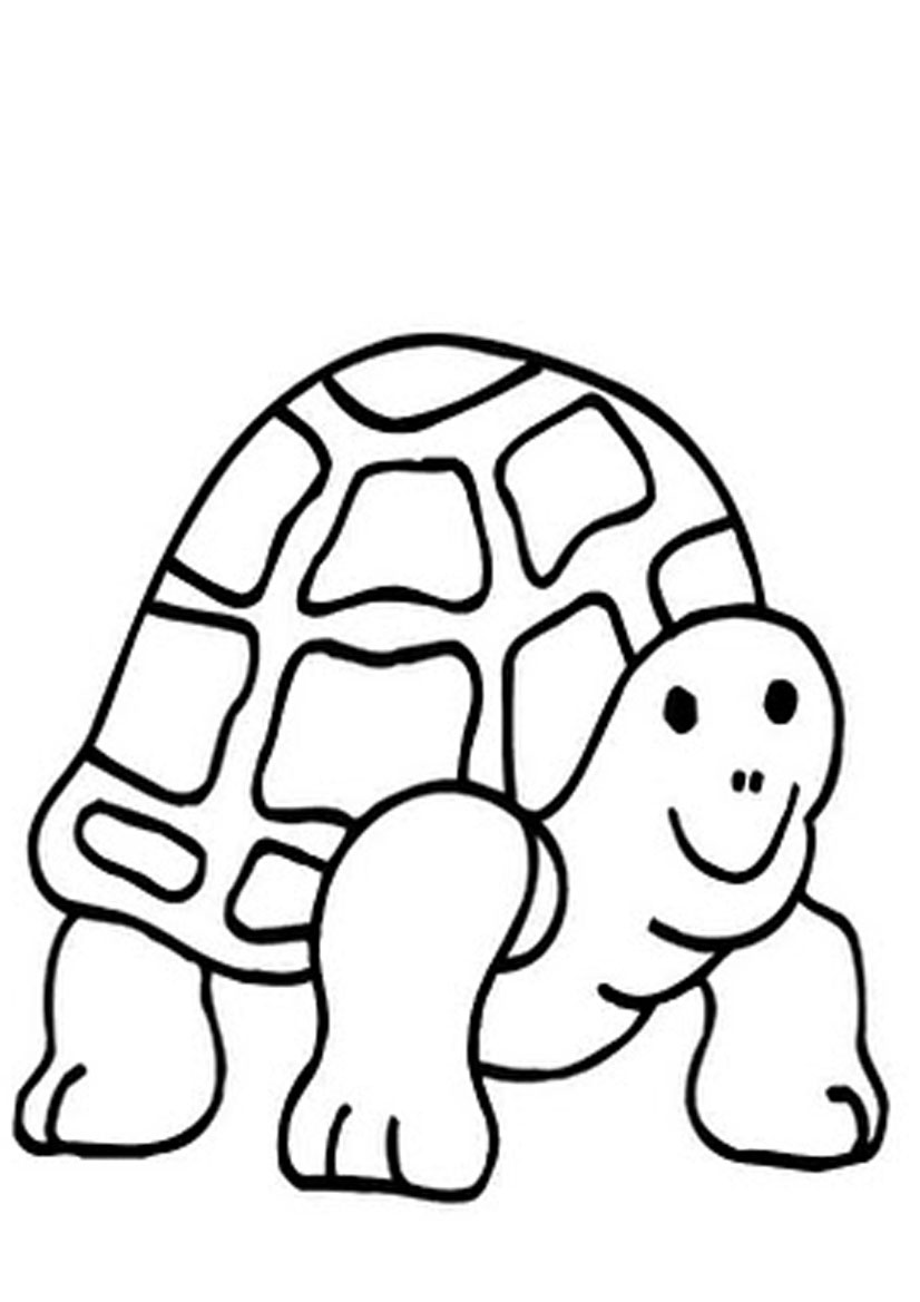 55 Free Printable Coloring Pages Of Turtles 8