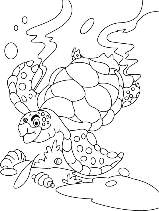 55 Free Printable Coloring Pages Of Turtles 80