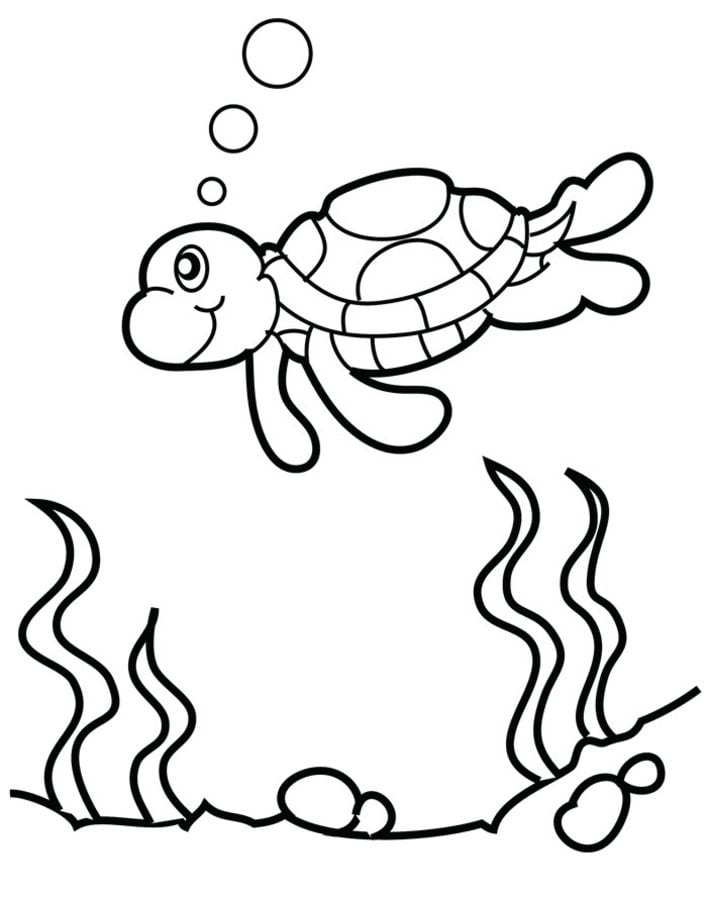 55 Free Printable Coloring Pages Of Turtles 88