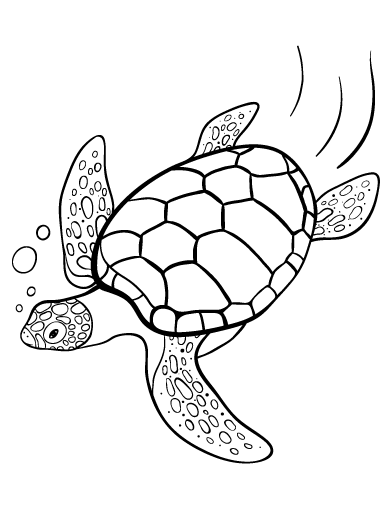 55 Free Printable Coloring Pages Of Turtles 9