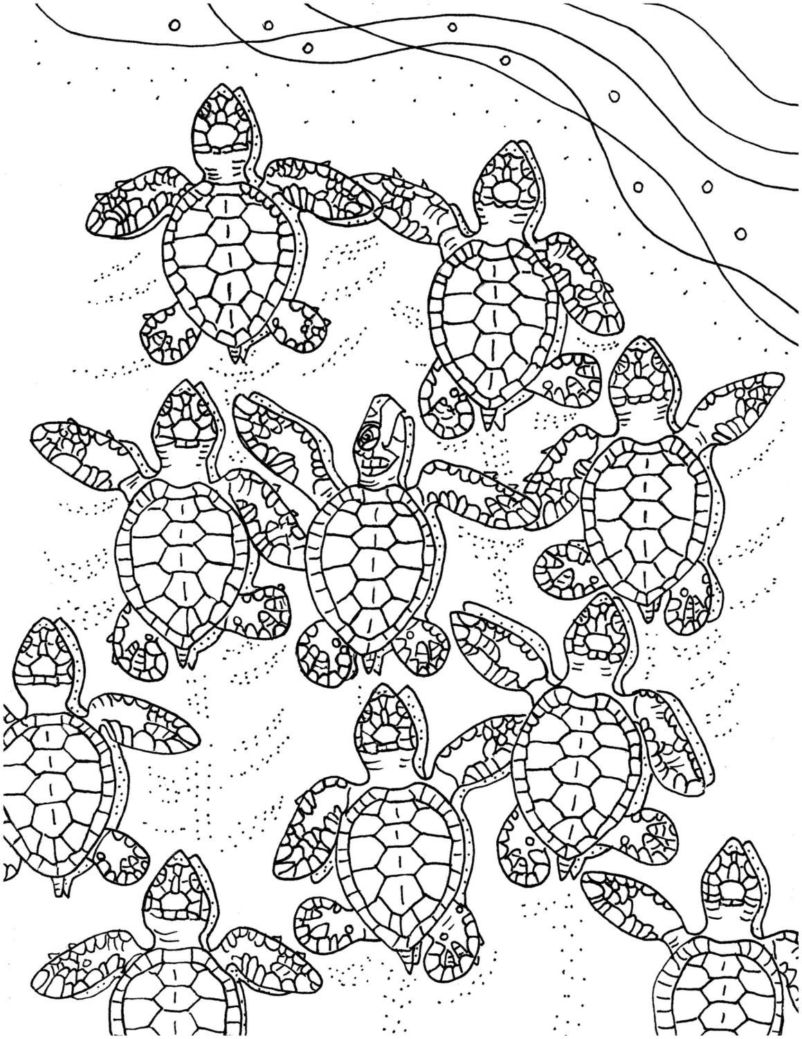 55 Free Printable Coloring Pages Of Turtles 93