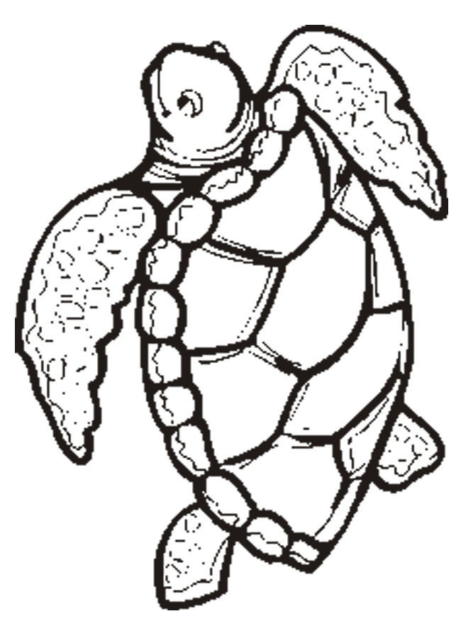 55 Free Printable Coloring Pages Of Turtles 95