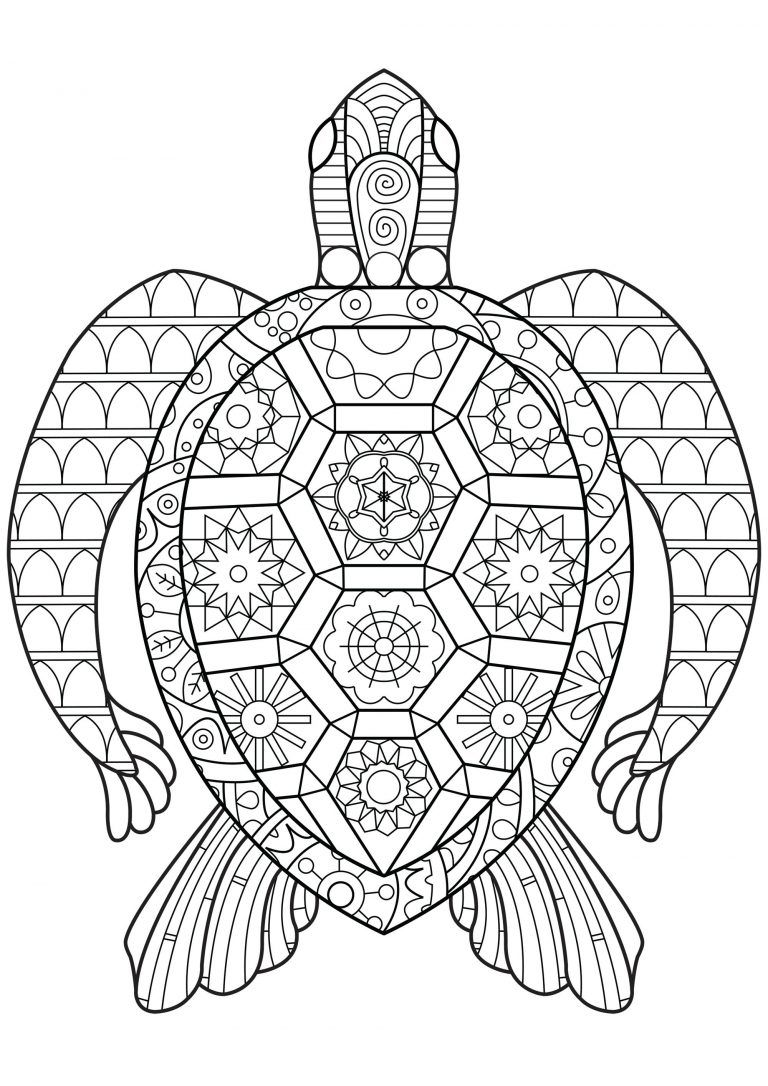 55 Free Printable Coloring Pages Of Turtles 96