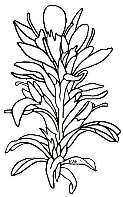 65 Paintbrush Coloring Page 17