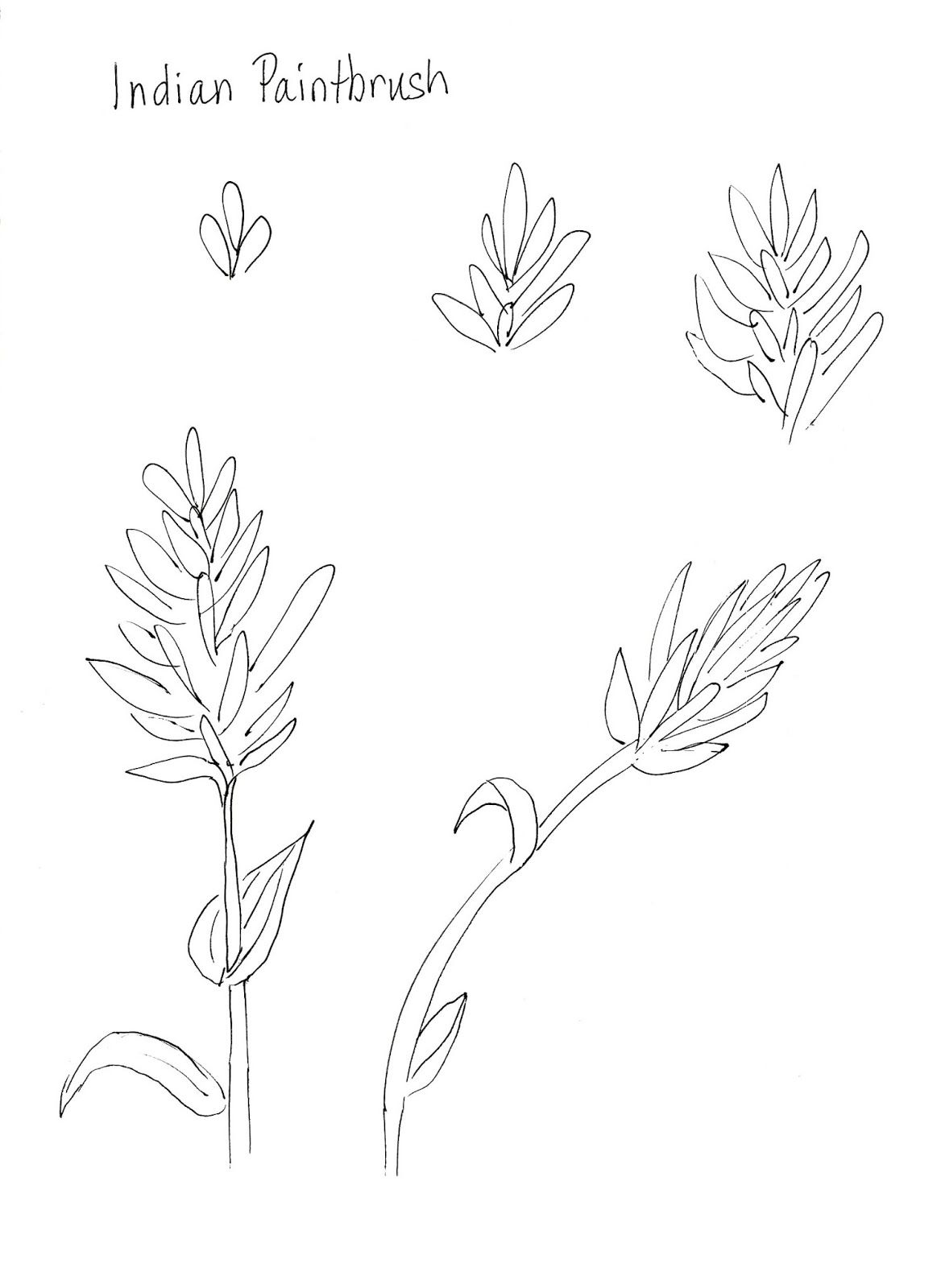 65 Paintbrush Coloring Page 23