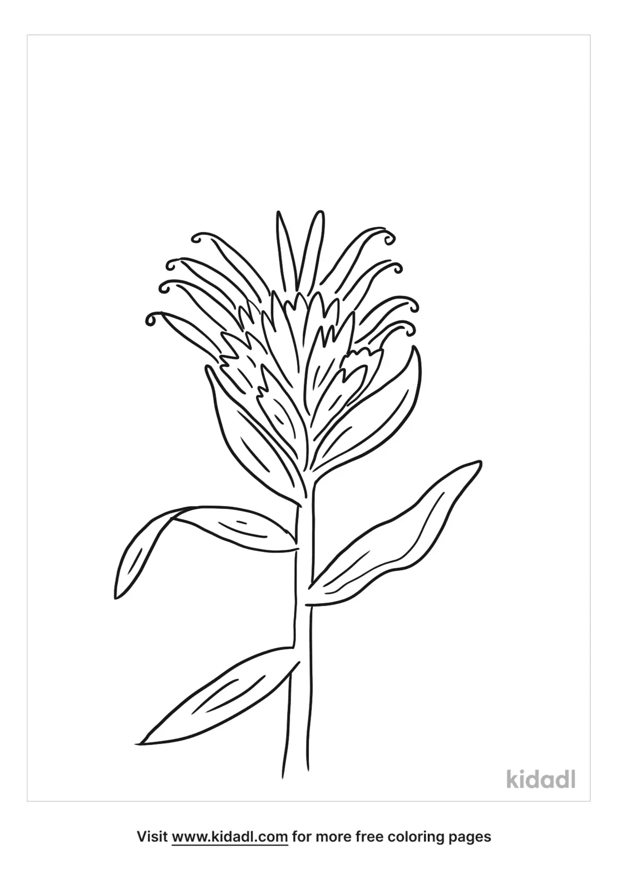 65 Paintbrush Coloring Page 5