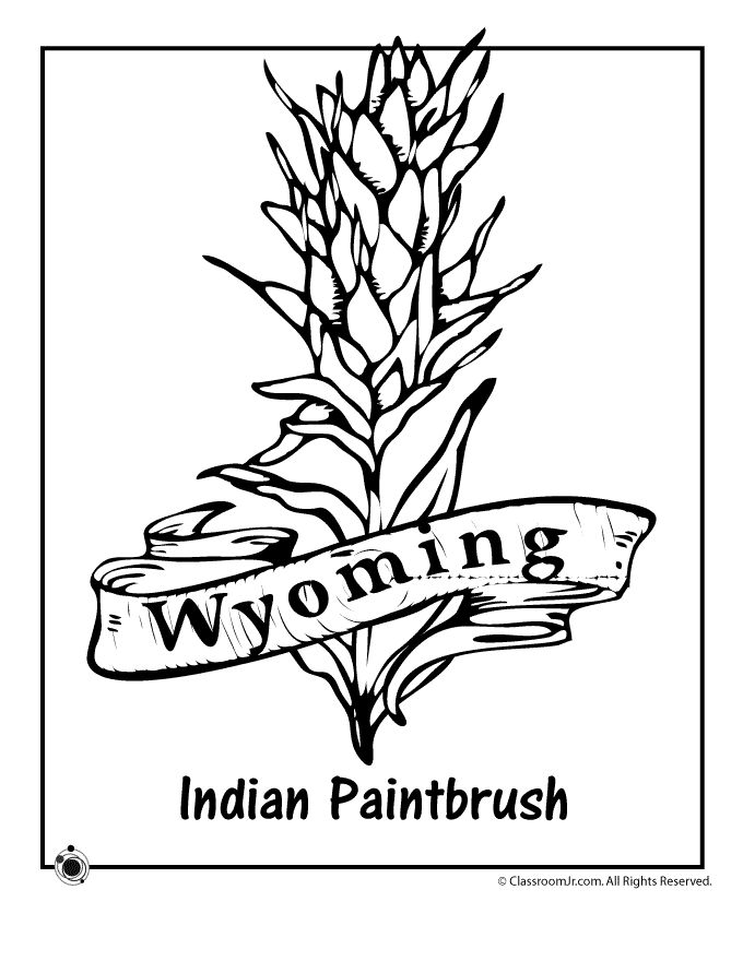 65 Paintbrush Coloring Page 53