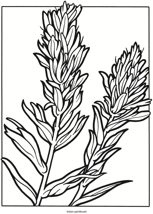 65 Paintbrush Coloring Page 60