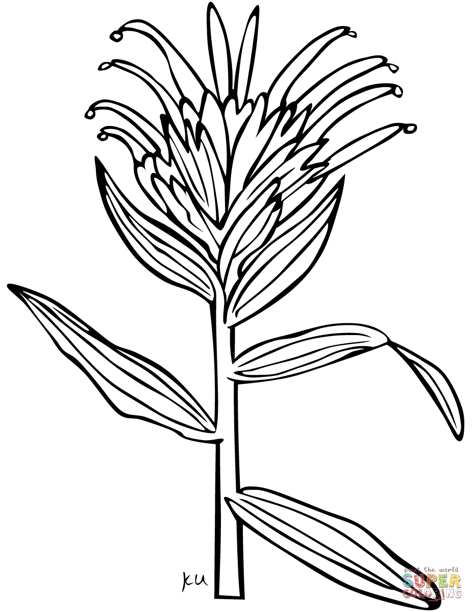 65 Paintbrush Coloring Page 78