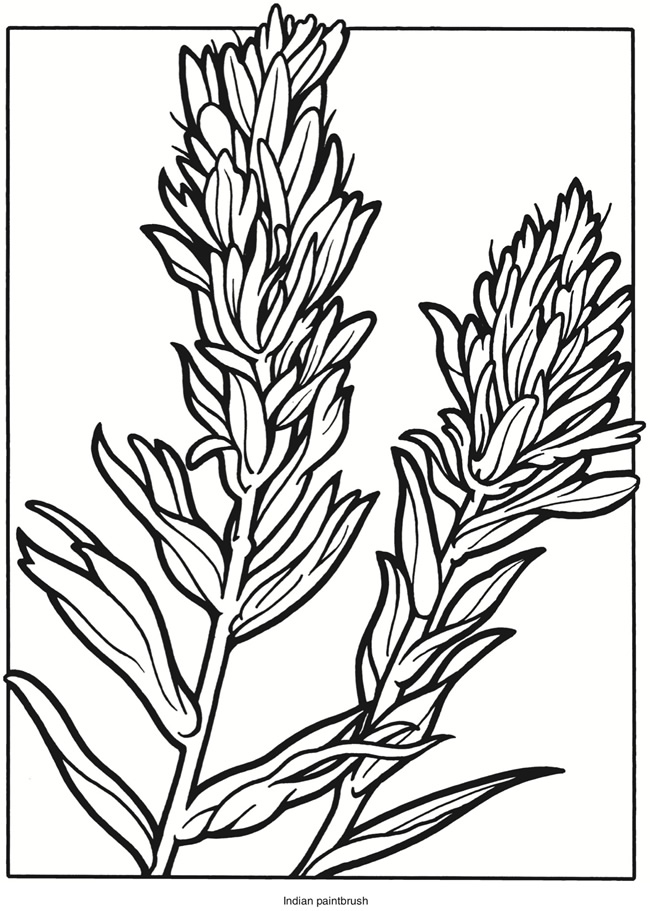 65 Paintbrush Coloring Page 84