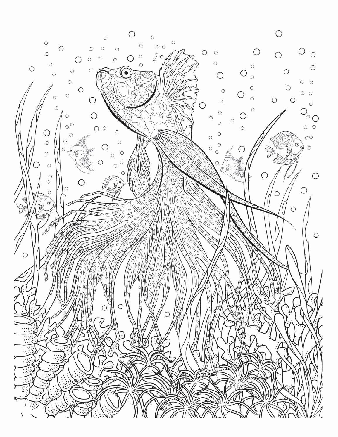 Interactive Coloring Pages 75