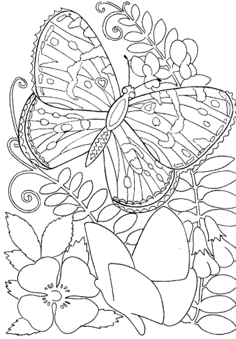 30 Print Coloring Pictures 13