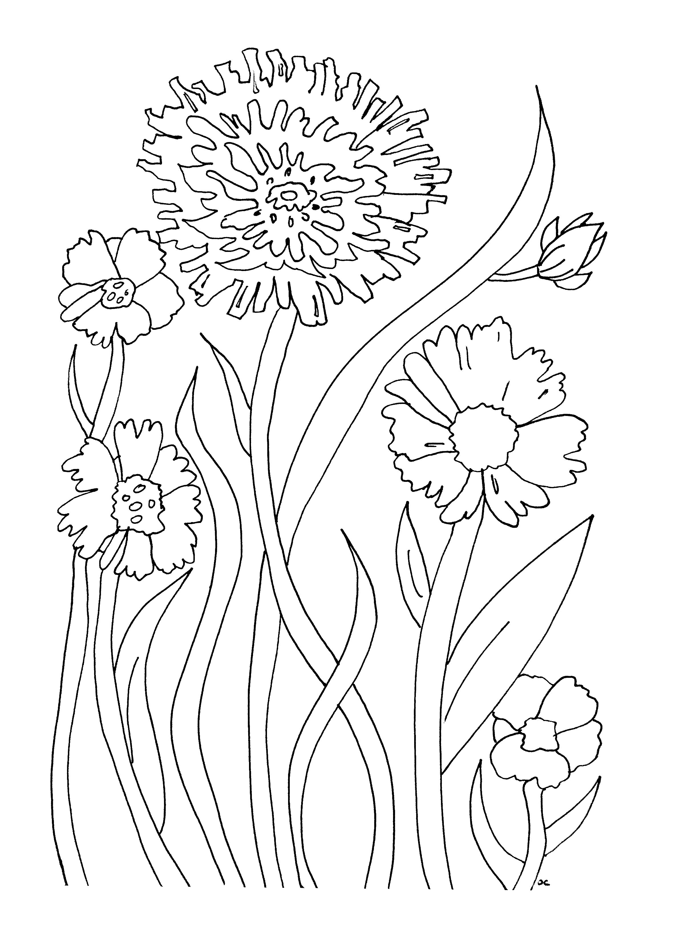 30 Print Coloring Pictures 25