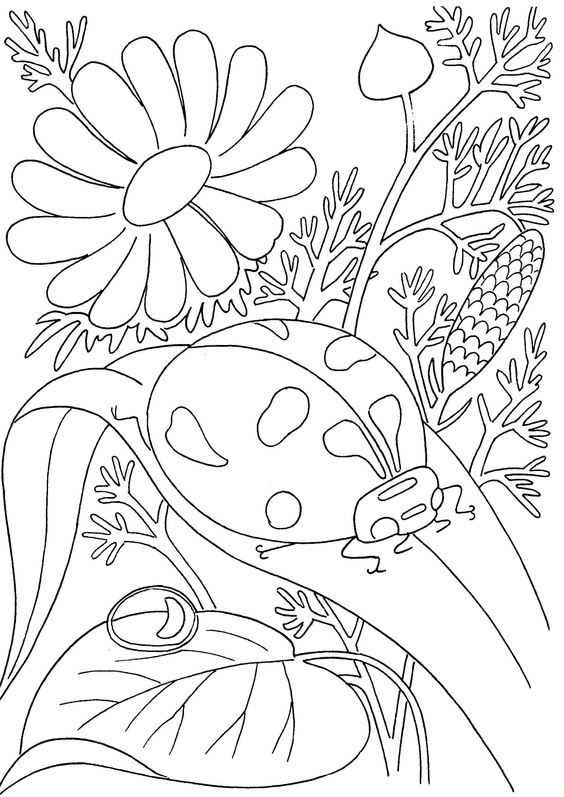 55 Printable Summer Coloring Sheets 59