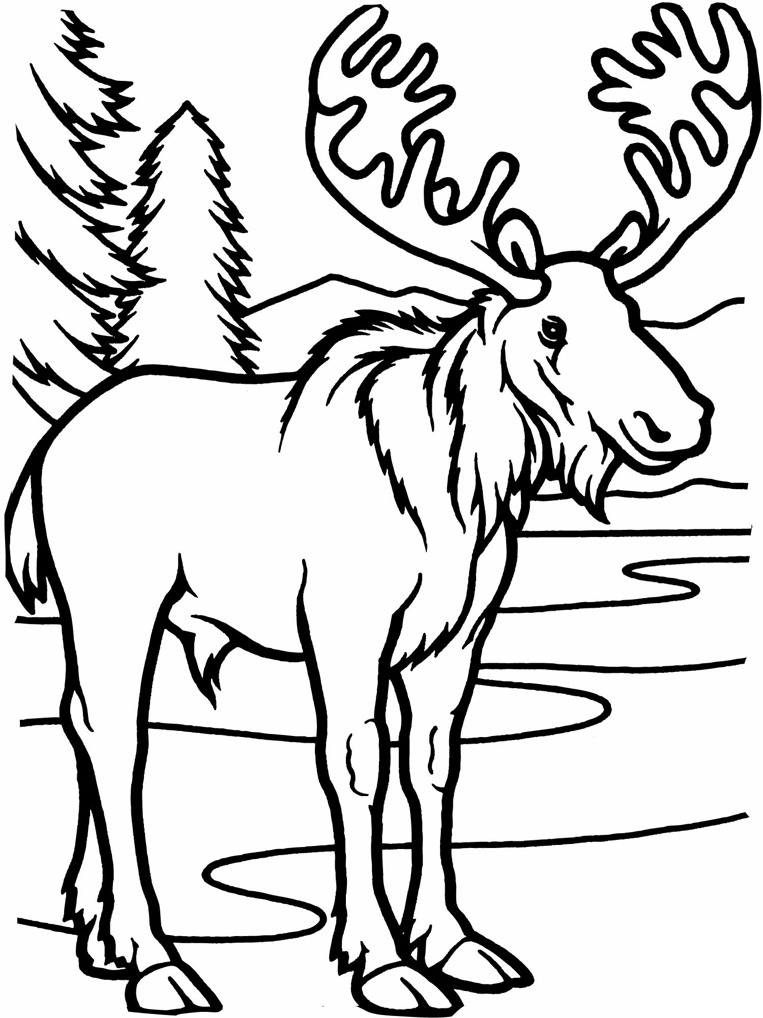 60 Coloring Sheets Print 44