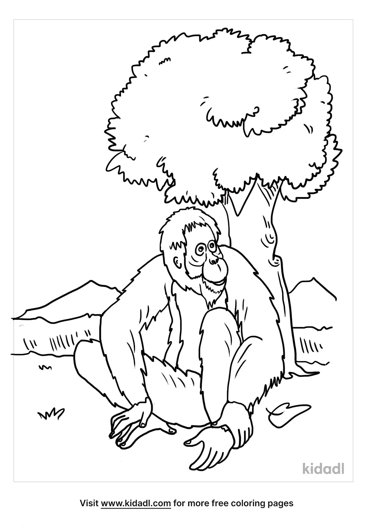 Get 85 Orangutan Coloring Pages Ideas 53