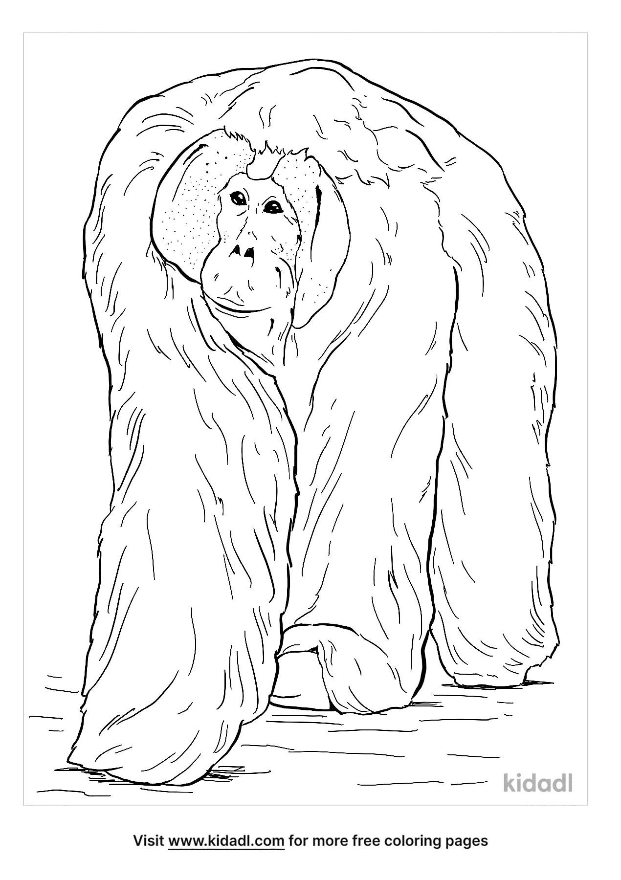 Get 85 Orangutan Coloring Pages Ideas 56