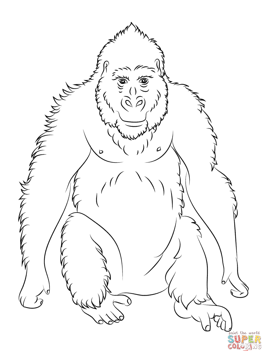 Get 85 Orangutan Coloring Pages Ideas 8