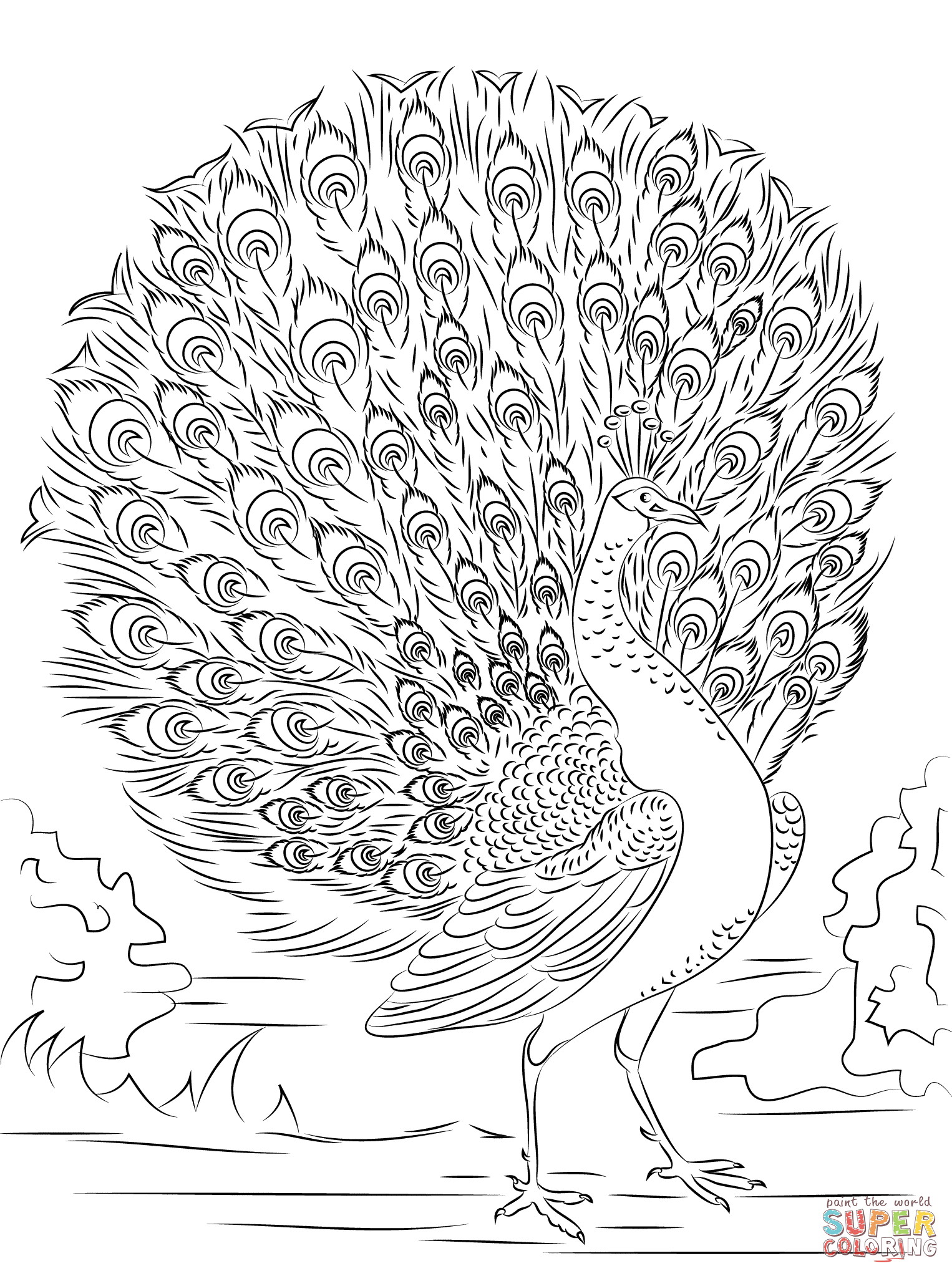 Get 85 Printable Coloring Pages Of Peacocks Ideas 10