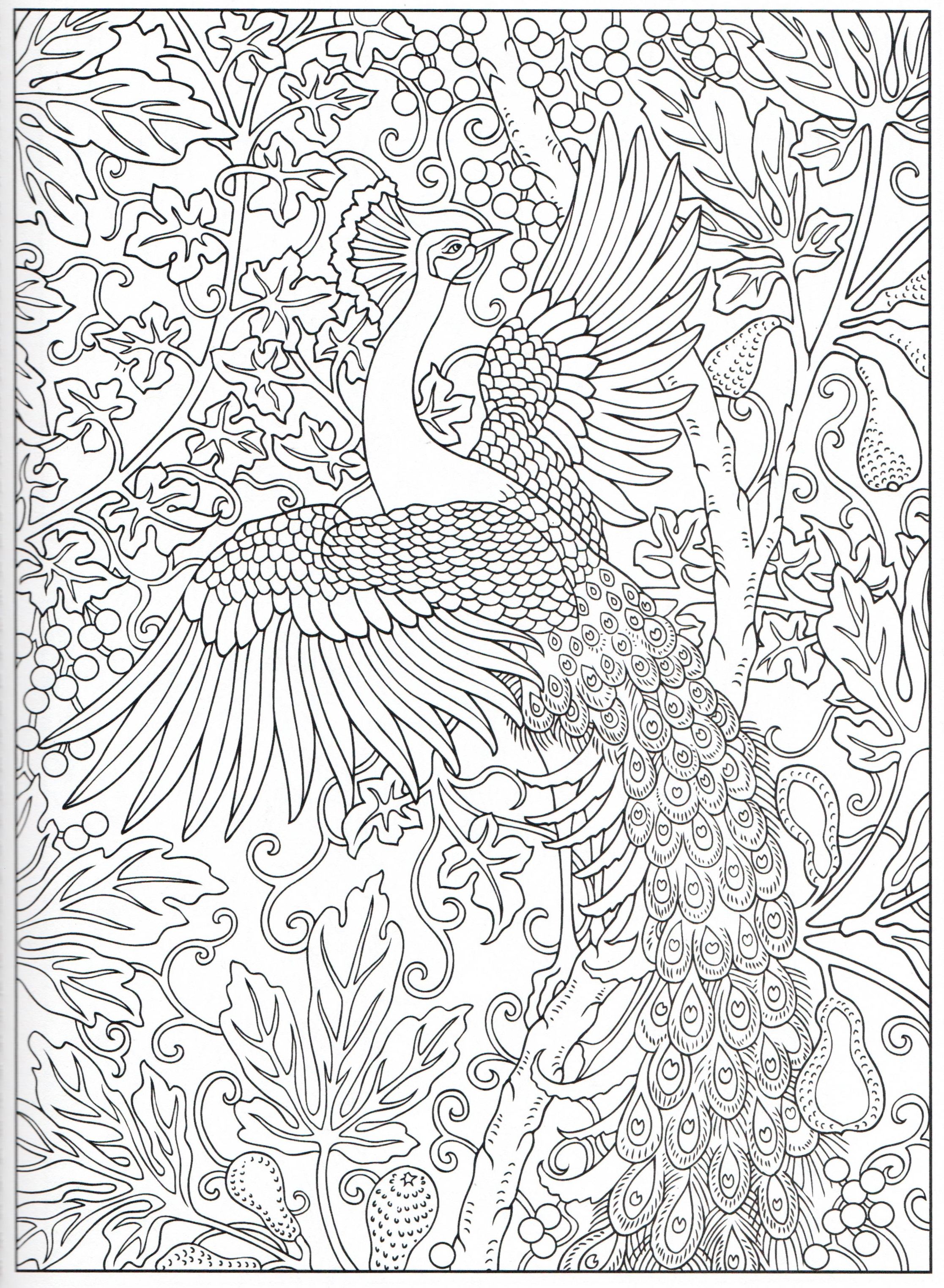 Get 85 Printable Coloring Pages Of Peacocks Ideas 13