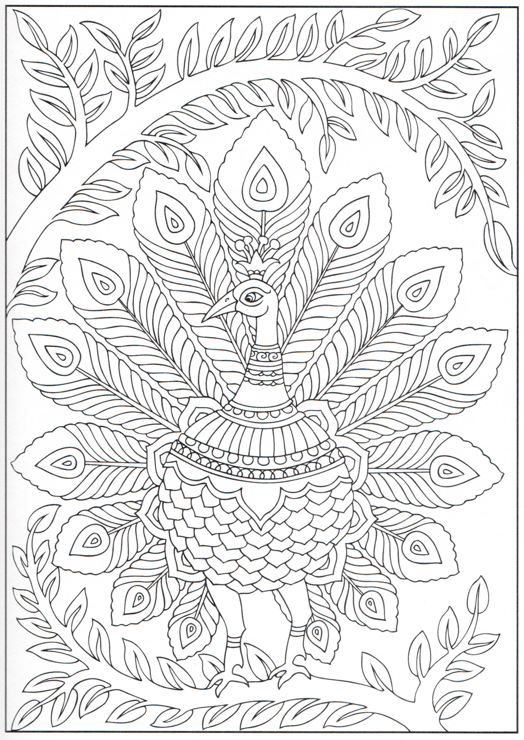 Get 85 Printable Coloring Pages Of Peacocks Ideas 15