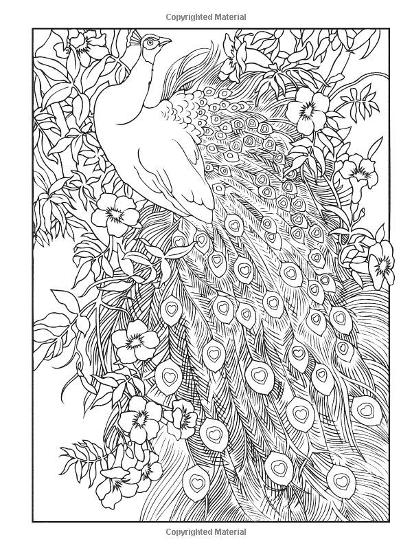 Get 85 Printable Coloring Pages Of Peacocks Ideas 16