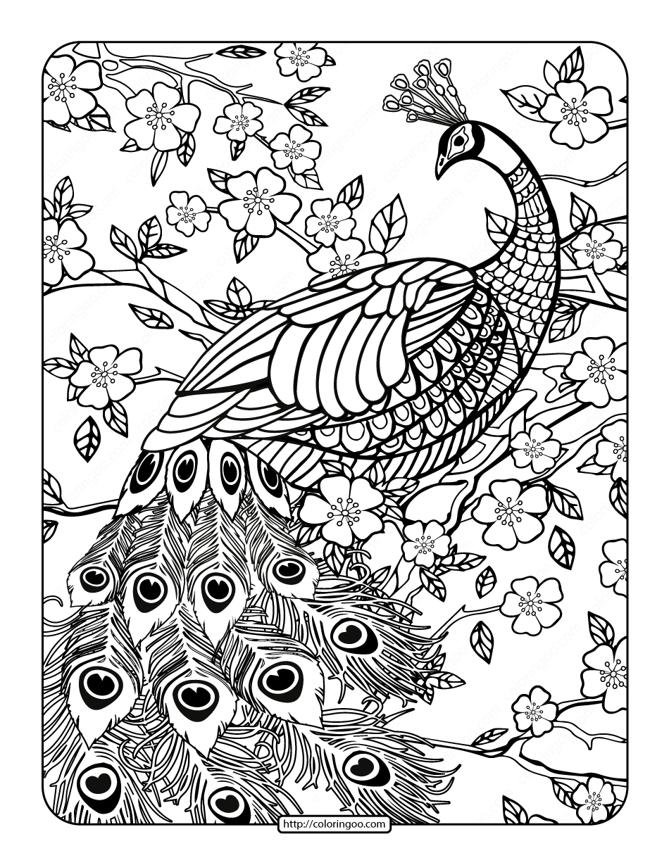 Get 85 Printable Coloring Pages Of Peacocks Ideas 18