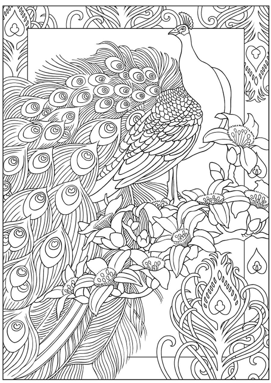 Get 85 Printable Coloring Pages Of Peacocks Ideas 30