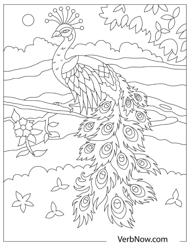 Get 85 Printable Coloring Pages Of Peacocks Ideas 31