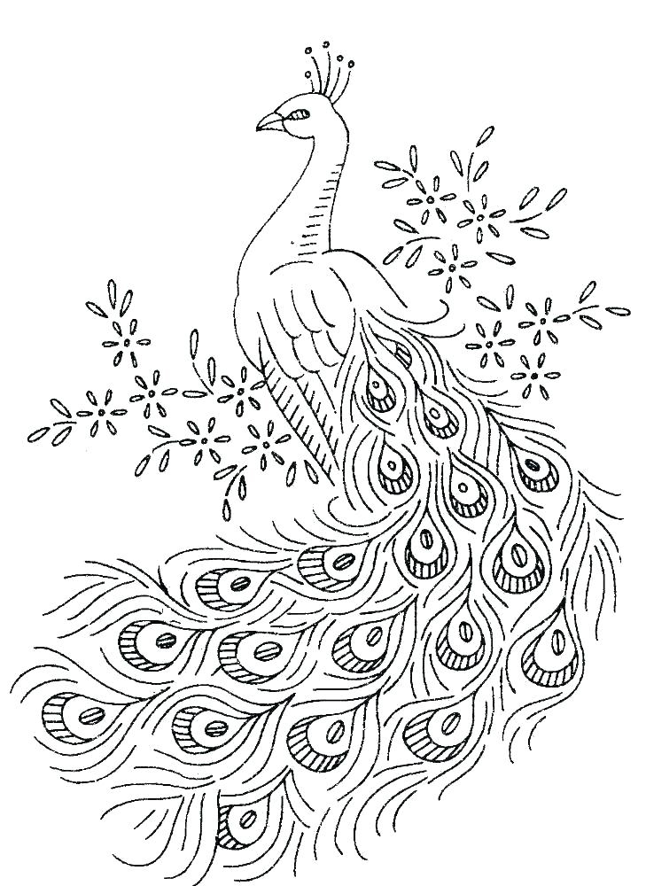 Get 85 Printable Coloring Pages Of Peacocks Ideas 32