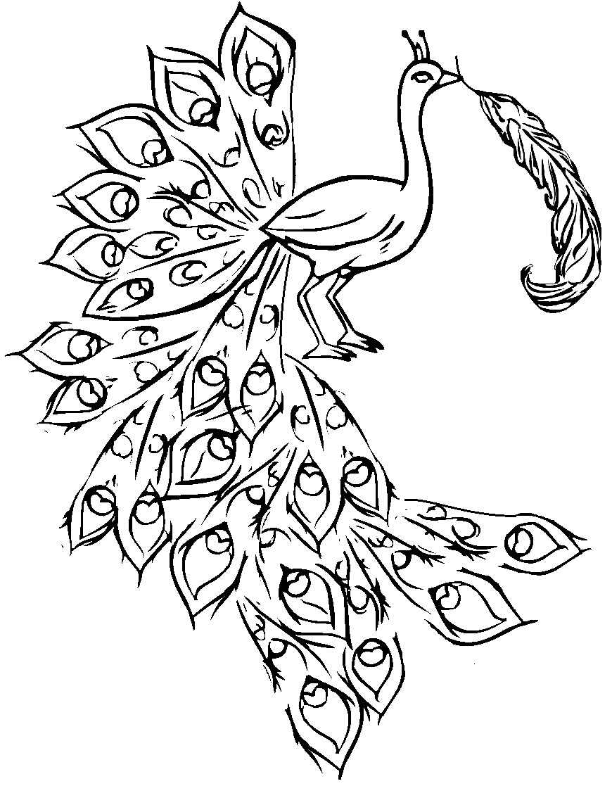 Get 85 Printable Coloring Pages Of Peacocks Ideas 51